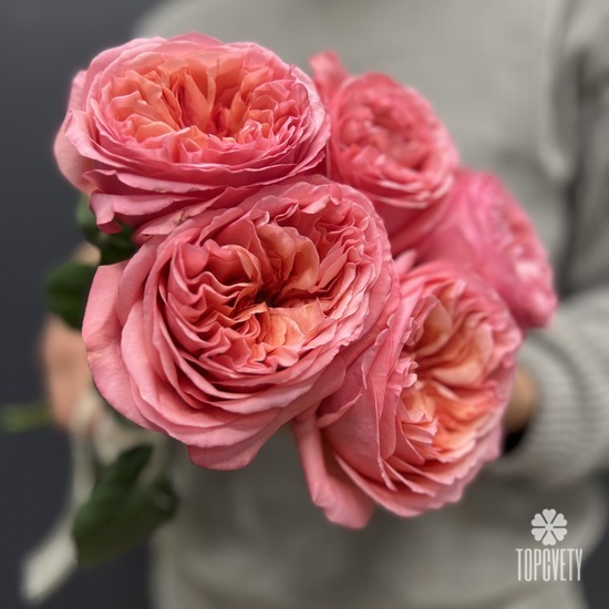 Букет из 5 розовых  пионовидных роз