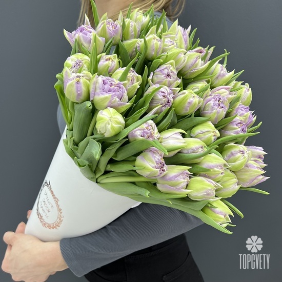 Композиция из 51 сиреневого тюльпана в коробке