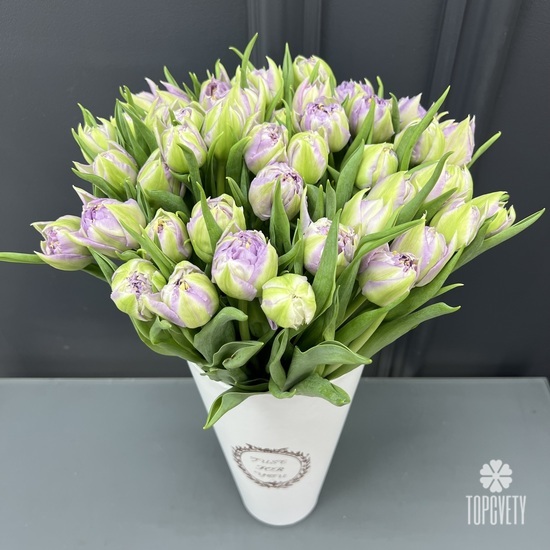 Композиция из 51 сиреневого тюльпана в коробке