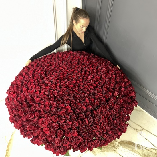 Композиция из 701 красной розы в корзине