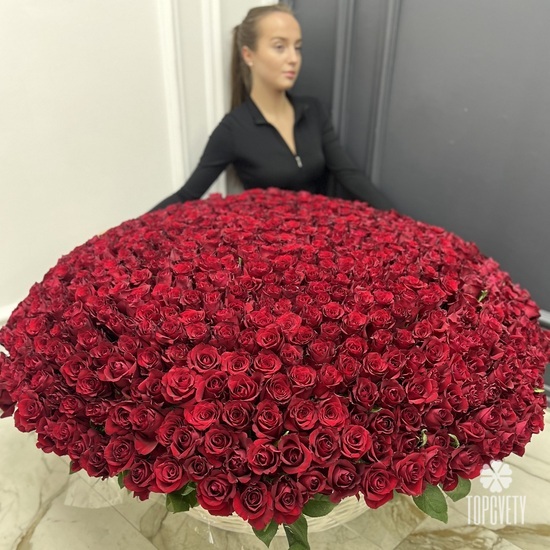 Композиция из 701 красной розы в корзине