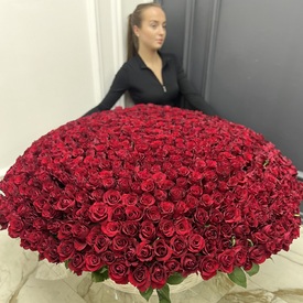 Композиция из 701 красной розы в корзине