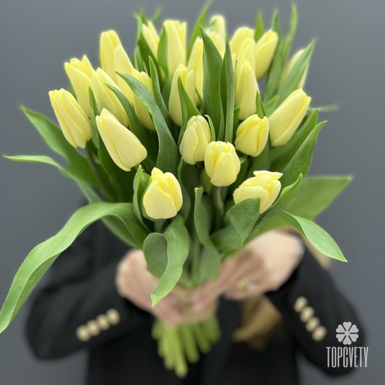 Букет из 25 желтых тюльпанов
