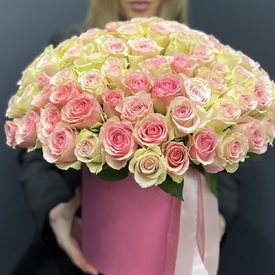 Композиция  из 151 розовой розы в коробке