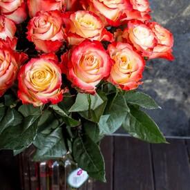 Букет из 25 роз Кабарет 50см