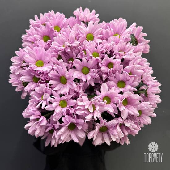 Букет из 9 розовых кустовых хризантем 