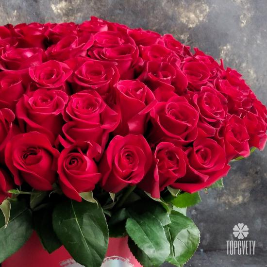 Композиция  из 51 красной розы Фридом в коробке 