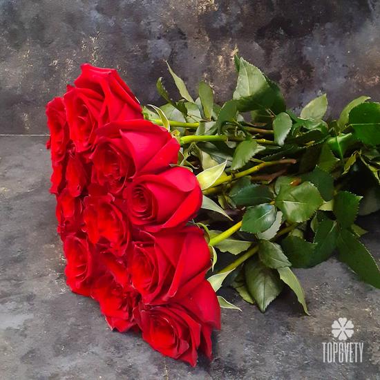 Букет из 19 красных роз Эксплорер 70см