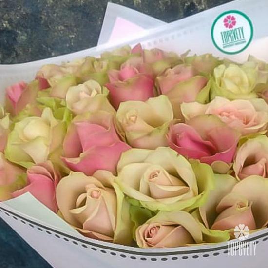 Букет из 51 розовой розы микс 40см