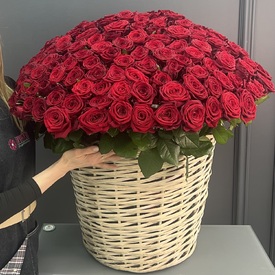 Композиция из 135 красных роз в корзине