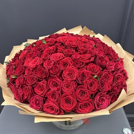 Букет из 151 красной розы Ред Наоми 70см