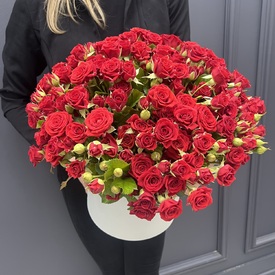 Композиция из 51 кустовой розы в коробке