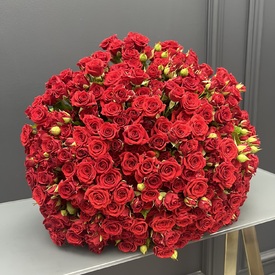 Букет из 101 красной кустовой розы 50см