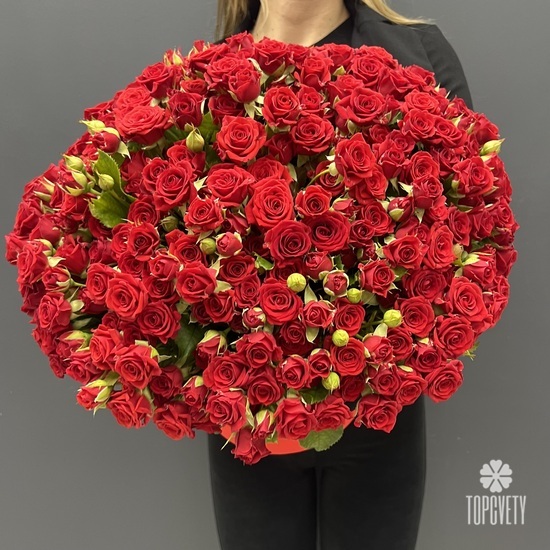 Композиция из 101 красной кустовой розы в коробке