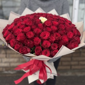 Букет из 101 белой и красной розы Кения 40см