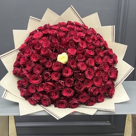 Букет из 101 белой и красной розы Кения 40см