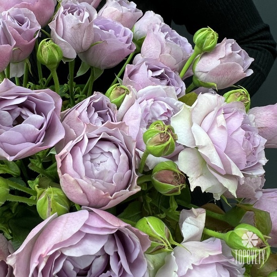 Букет из 9 пионовидных сиреневых кустовых роз